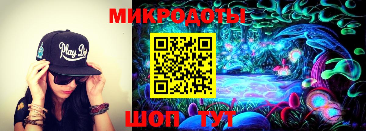 Псилоцибиновые грибы Psilocybine cubensis Кувандык